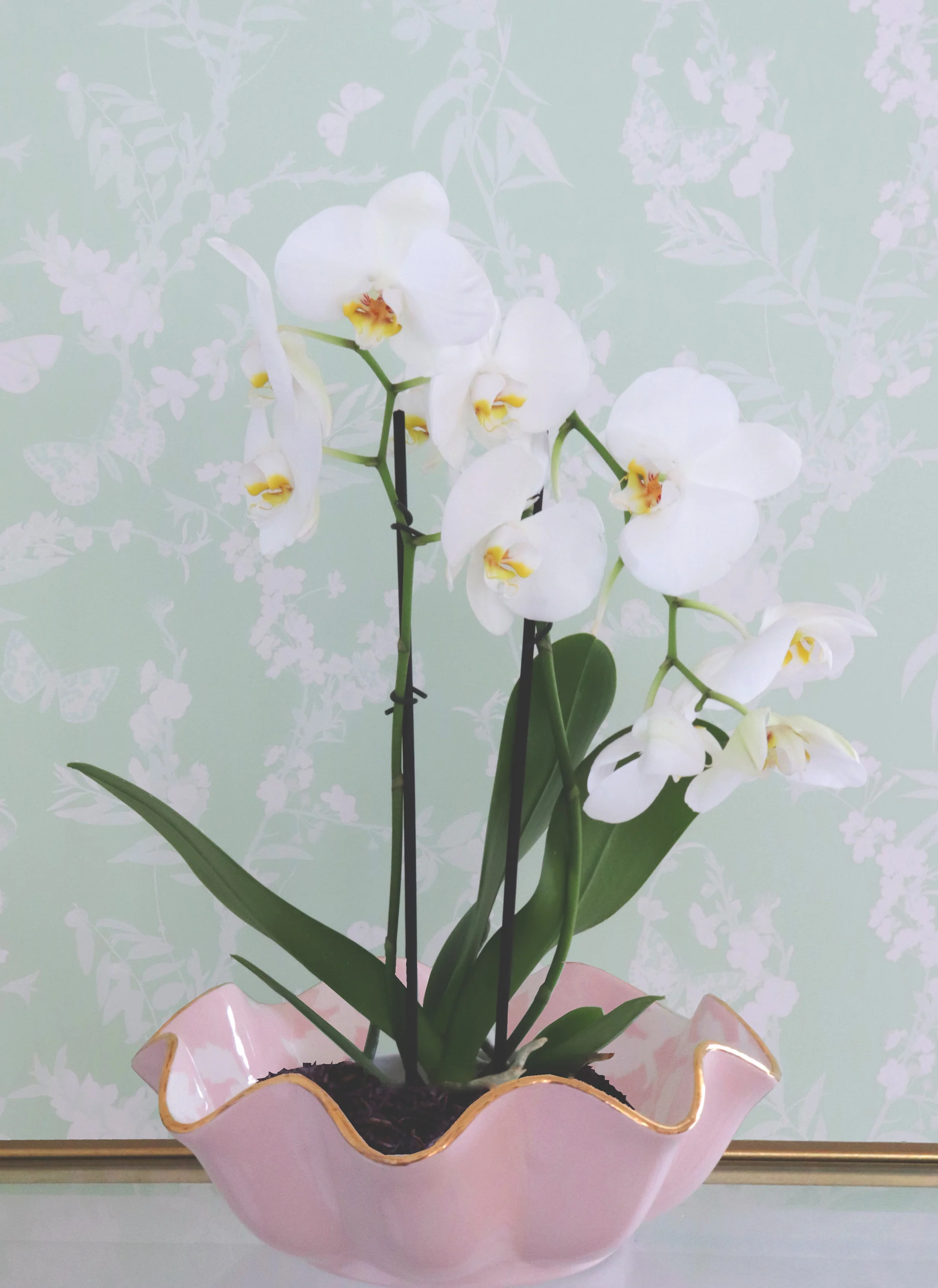 Chinoiserie Dreams Scalloped Bowls with 22K Gold Accent - Image 11